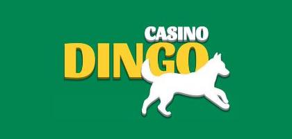 Dingo Casino-review